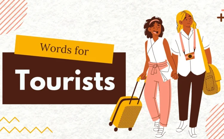 Kannada for Tourists: Must-Know Phrases Before Visiting Karnataka